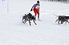 _MG_8651.jpg