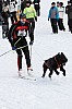 _MG_8656.jpg