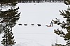 _MG_8660.jpg