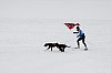 _MG_8741.jpg