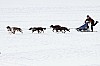 _MG_8756.jpg