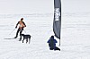 _MG_8812.jpg