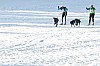 _MG_8829.jpg