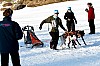 _MG_8844.jpg