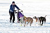_MG_8851.jpg