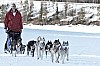 _MG_8870.jpg