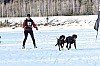 _MG_8881.jpg