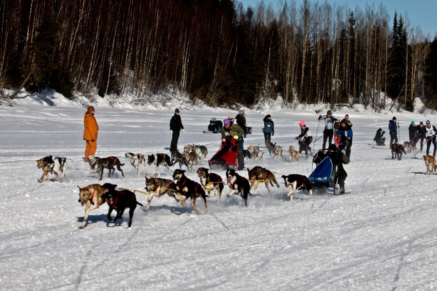 _MG_9081.jpg