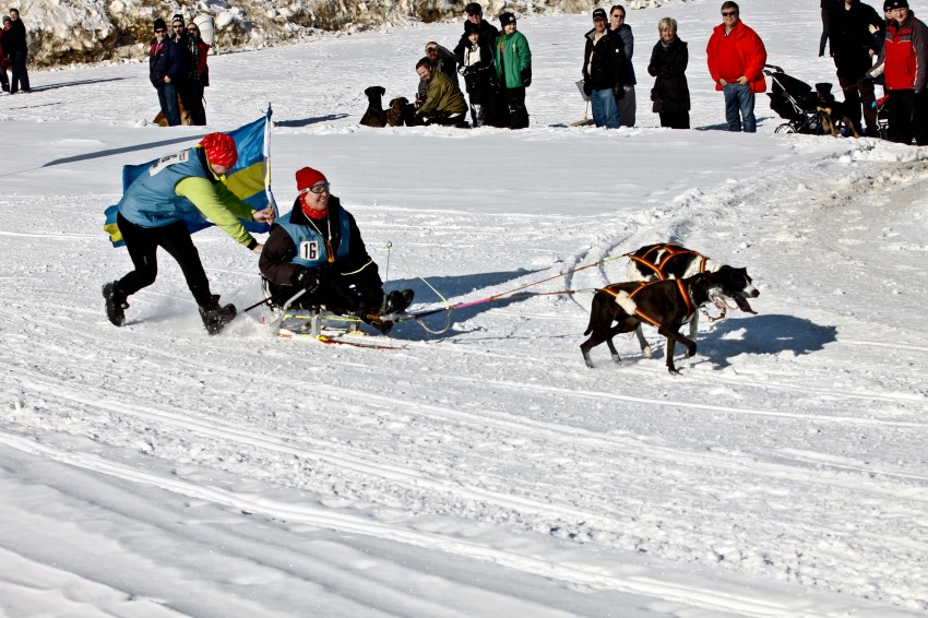 _MG_9162.jpg