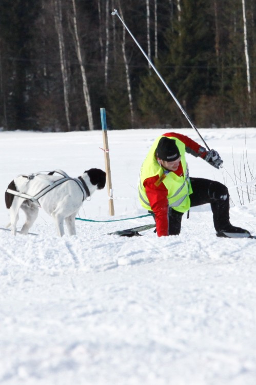 _MG_9587.jpg