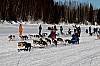 _MG_9081.jpg