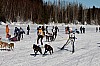 _MG_9083.jpg