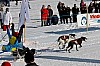 _MG_9177.jpg