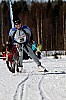 _MG_9246.jpg