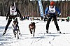 _MG_9311.jpg