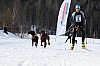_MG_9564.jpg