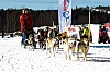 _MG_9656.jpg