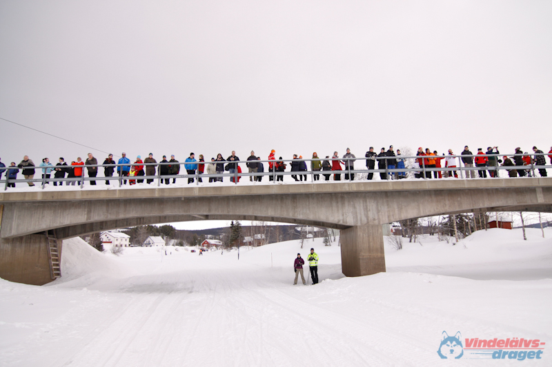 Cristoffer_Hellstrom-15-03-13.jpg