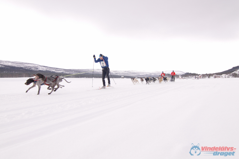 Cristoffer_Hellstrom-15-03-15.jpg