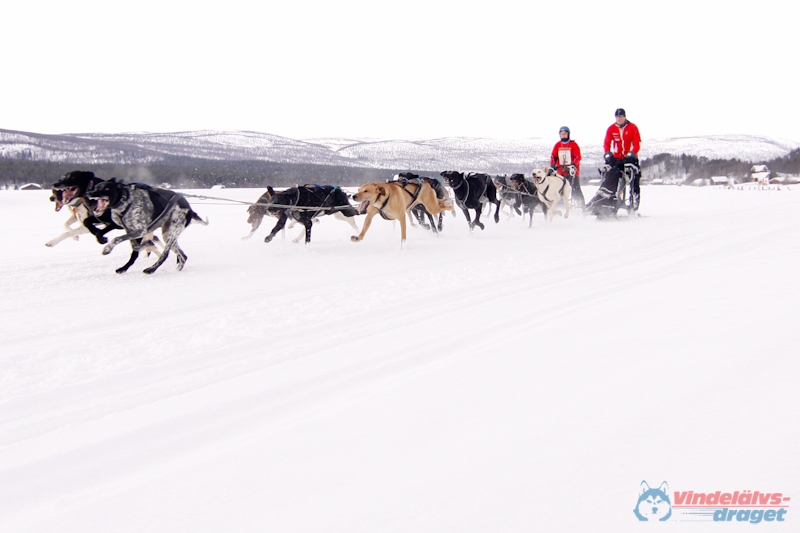 Cristoffer_Hellstrom-15-03-16.jpg