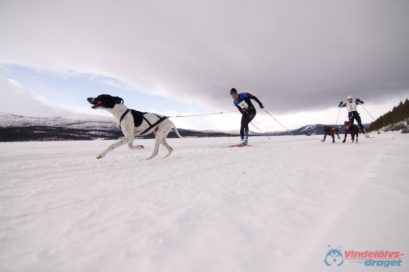 Cristoffer_Hellstrom-15-03-22.jpg