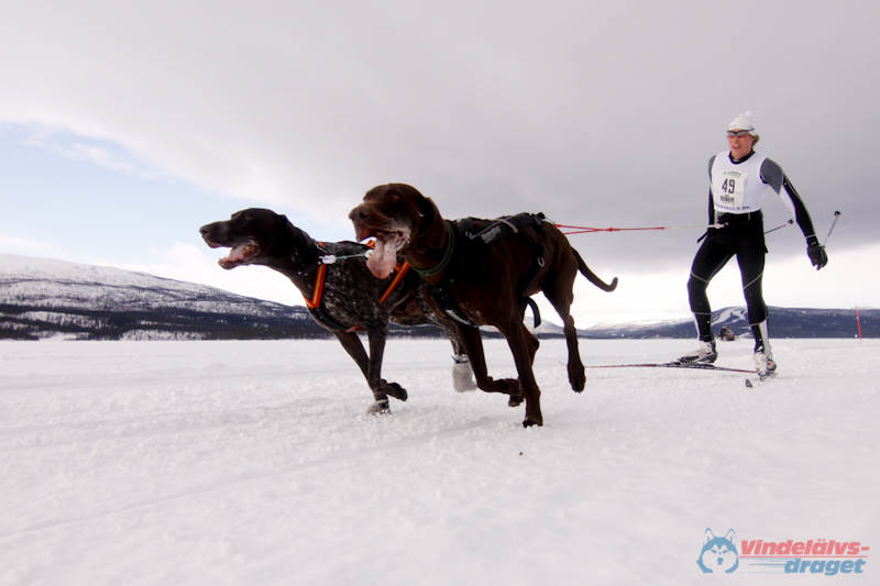 Cristoffer_Hellstrom-15-03-23.jpg