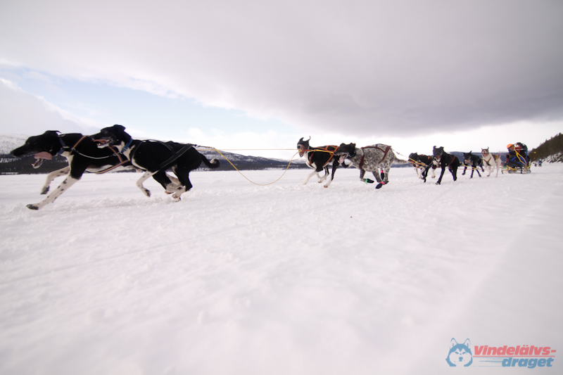 Cristoffer_Hellstrom-15-03-24.jpg