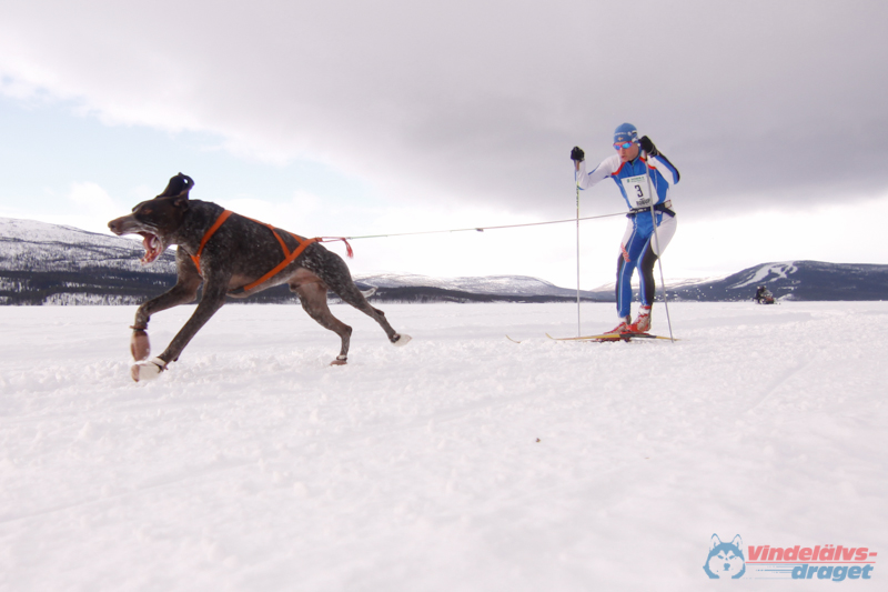 Cristoffer_Hellstrom-15-03-27.jpg