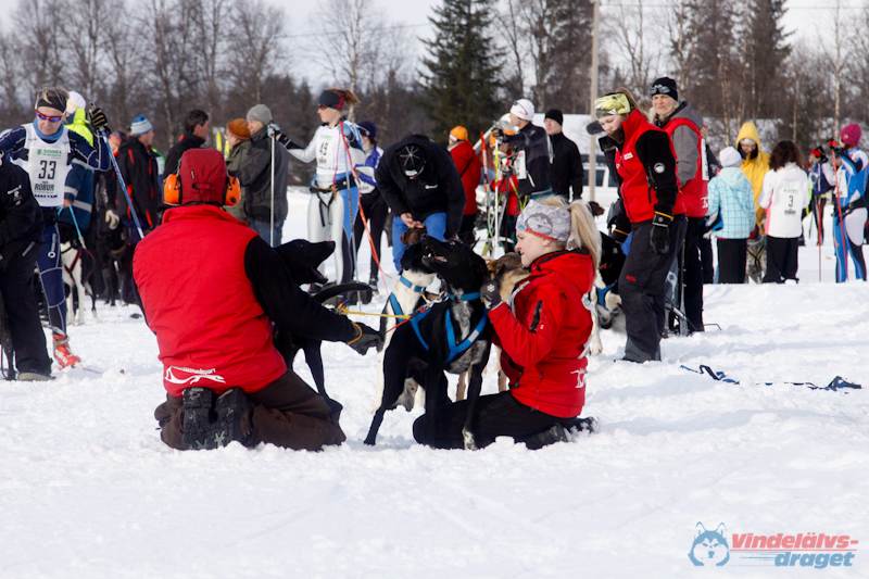 Cristoffer_Hellstrom-15-03-42.jpg