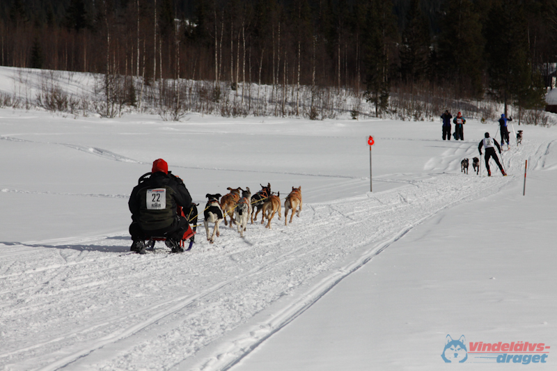 Cristoffer_Hellstrom-15-03-77.jpg
