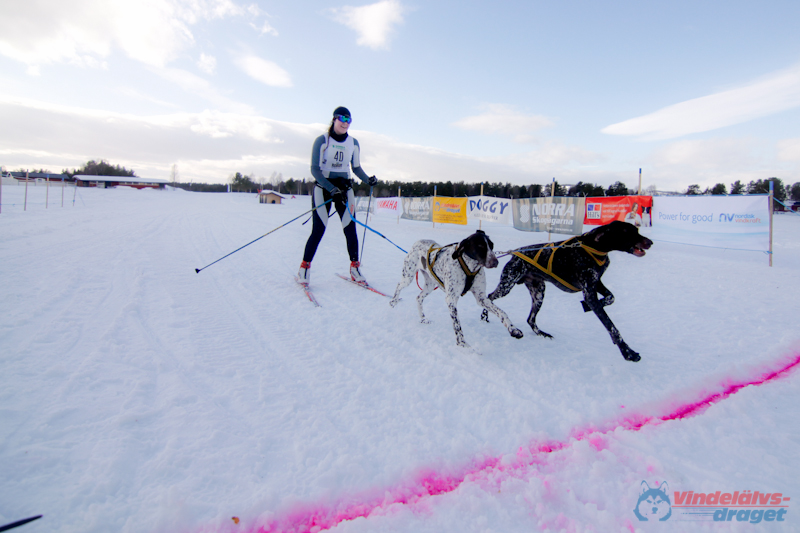 Cristoffer_Hellstrom-15-03-94.jpg