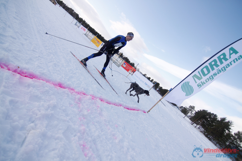 Cristoffer_Hellstrom-15-03-96.jpg
