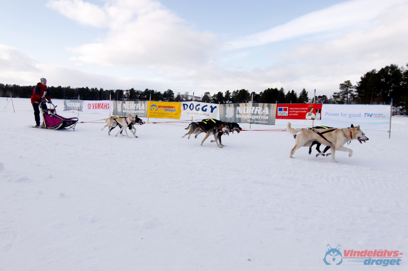Cristoffer_Hellstrom-15-03-99.jpg