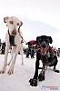 Cristoffer_Hellstrom-15-03-12.jpg