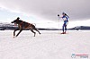 Cristoffer_Hellstrom-15-03-27.jpg