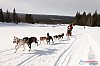 Cristoffer_Hellstrom-15-03-36.jpg