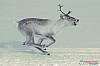 Cristoffer_Hellstrom-15-03-62.jpg