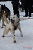 Cristoffer_Hellstrom-15-03-83.jpg