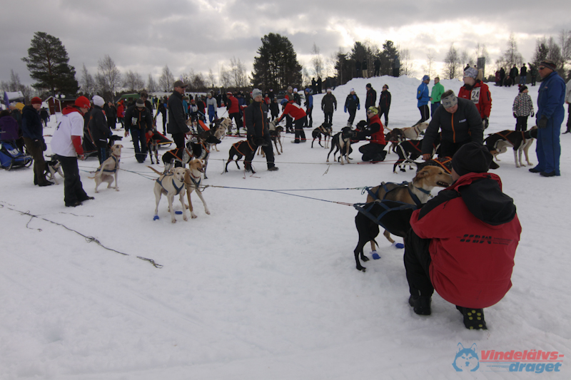 Cristoffer_Hellstrom2012-03-16_10-46-46.jpg