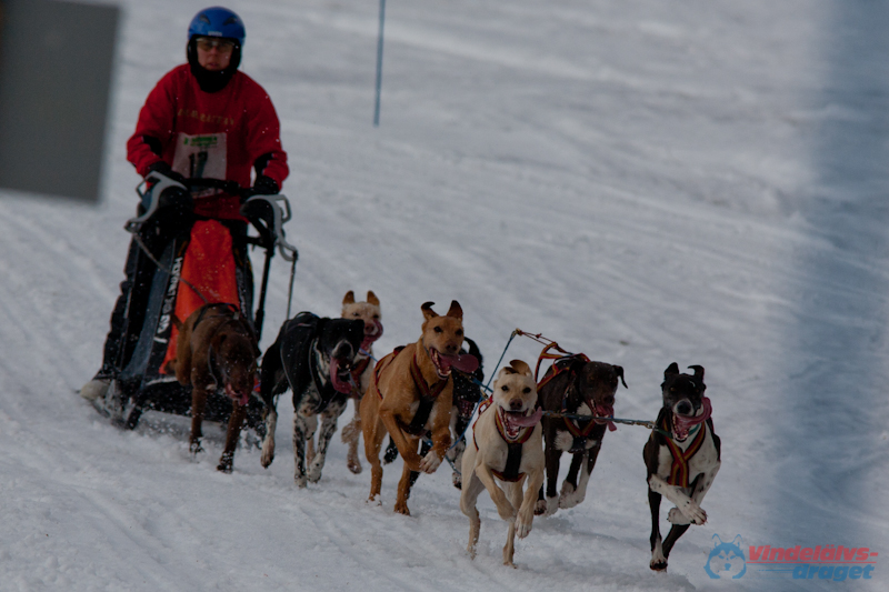 Cristoffer_Hellstrom 2012-03-17_11-22-44.jpg