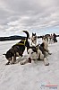 Cristoffer_Hellstrom 2012-03-17_12-21-22.jpg