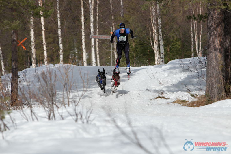 Joakim Blomkvist 2012-03-17_11-40-36.jpg