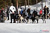 Joakim Blomkvist 2012-03-17_11-28-52.jpg