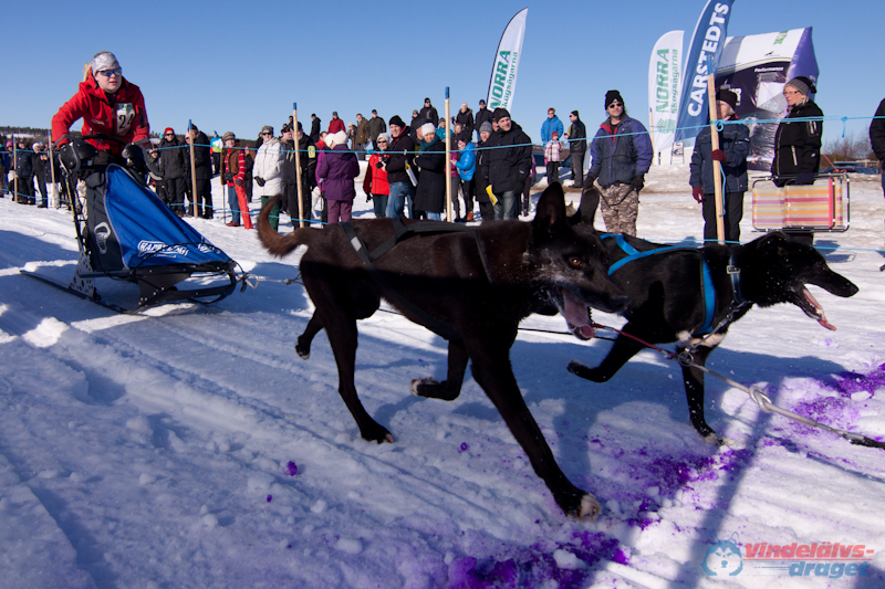 Cristoffer_Hellstrom2012-03-18_12-27-49.jpg