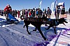 Cristoffer_Hellstrom2012-03-18_12-27-49.jpg