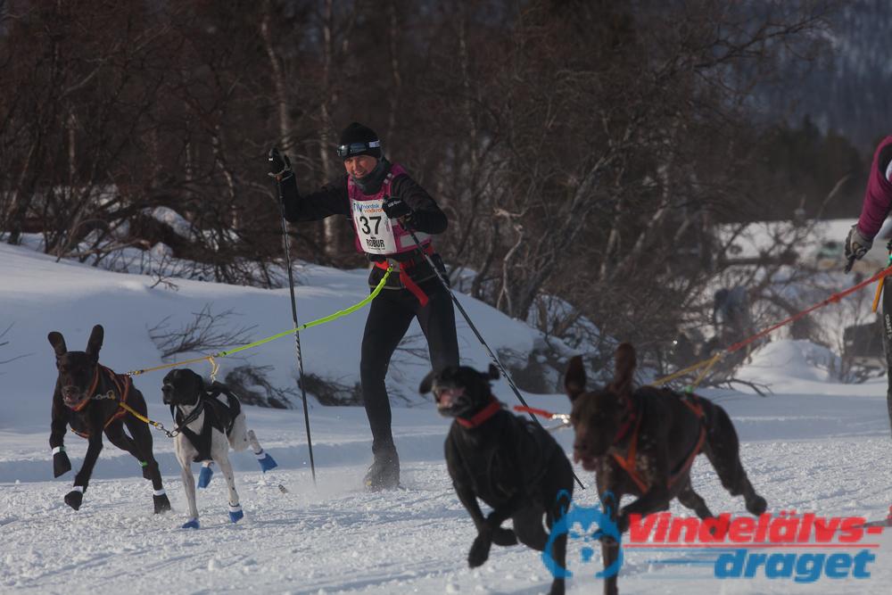 Joakim_B 2013-03-14_10-12-46.jpg