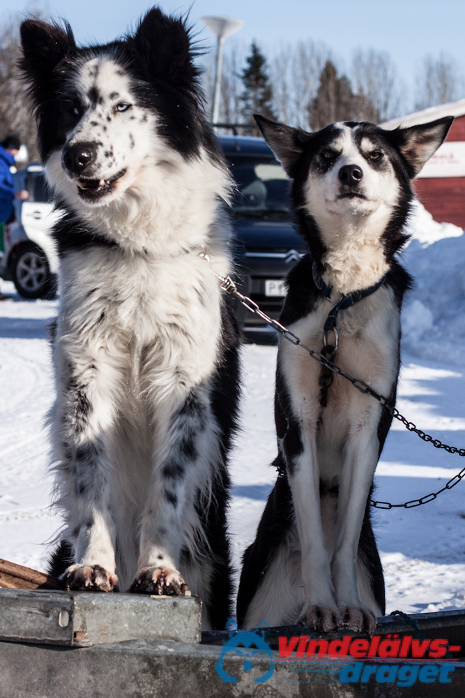 Cristoffer_H_2013-03-15_15-18-46.jpg