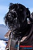 Cristoffer_H_2013-03-15_12-00-02.jpg