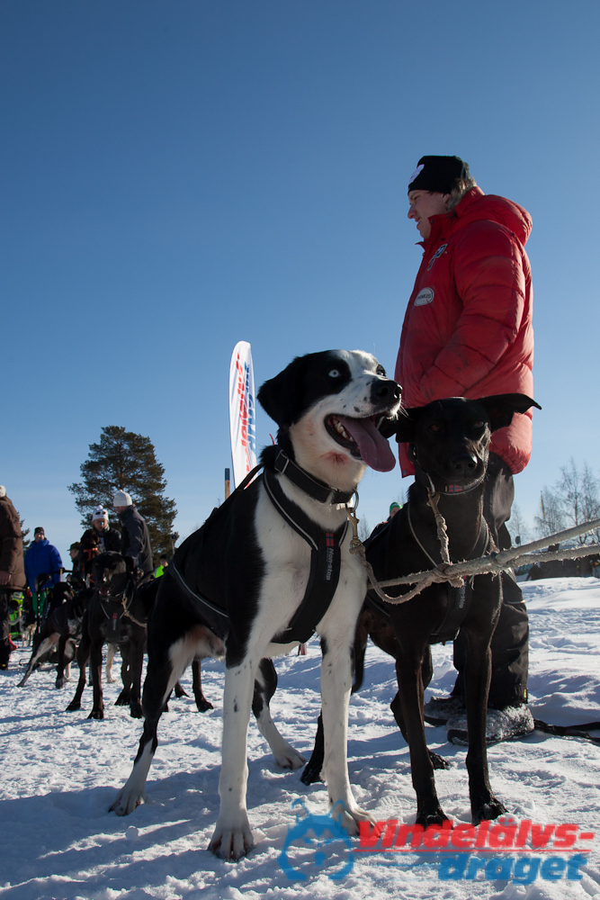 Joakim_B_2013-03-15_10-01-39.jpg