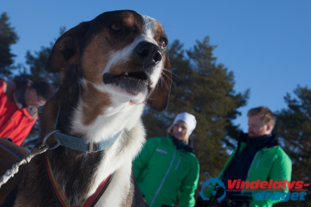 Joakim_B_2013-03-15_10-02-34.jpg
